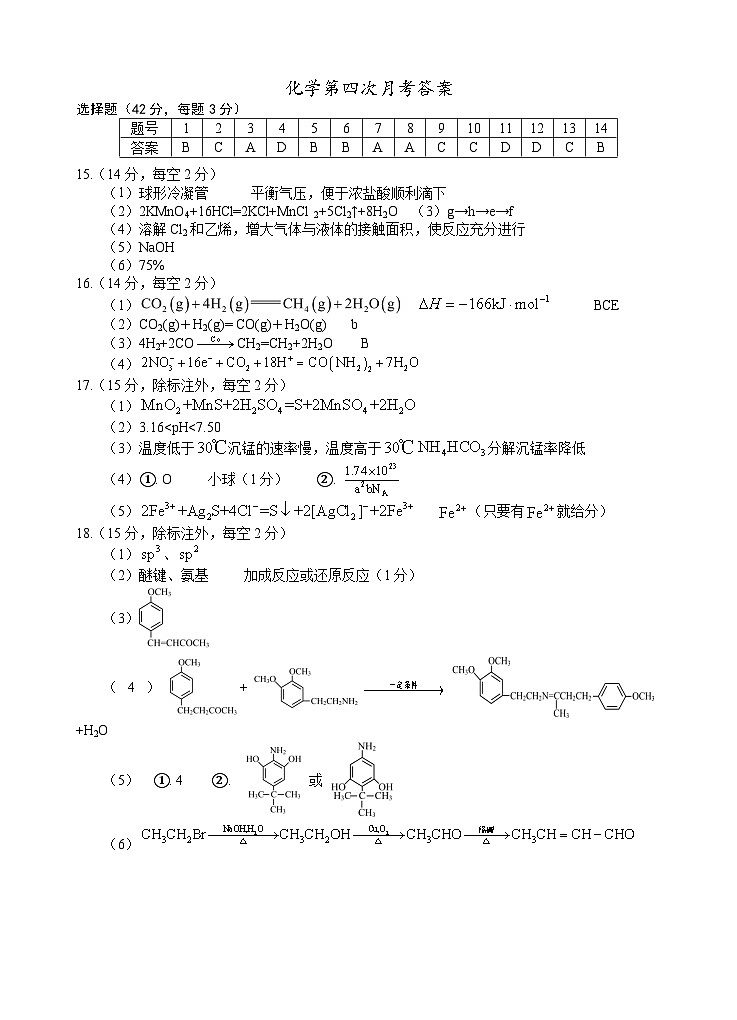 2025届高三第四次月考化学试卷答案第1页