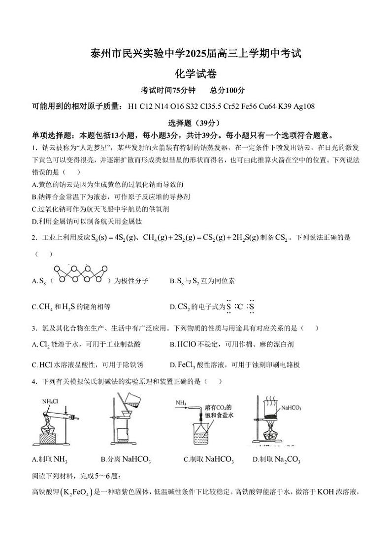 江苏省泰州市民兴实验中学2024～2025学年高三(上)期中化学试卷(无答案)第1页