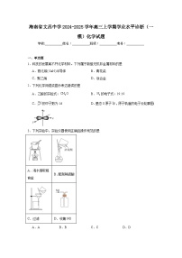 海南省文昌中学2024-2025学年高三上学期学业水平诊断（一模）化学试题