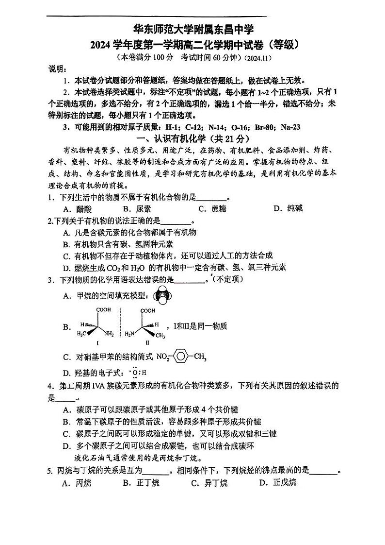 上海市华东师范大学附属东昌中学2024-2025学年高二上学期期中考试+化学（等级）+试卷第1页