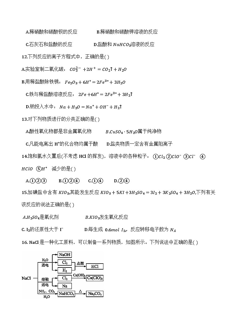 天津市耀华中学滨城学校2024-2025学年高一上学期11月期中考试 化学试题第3页