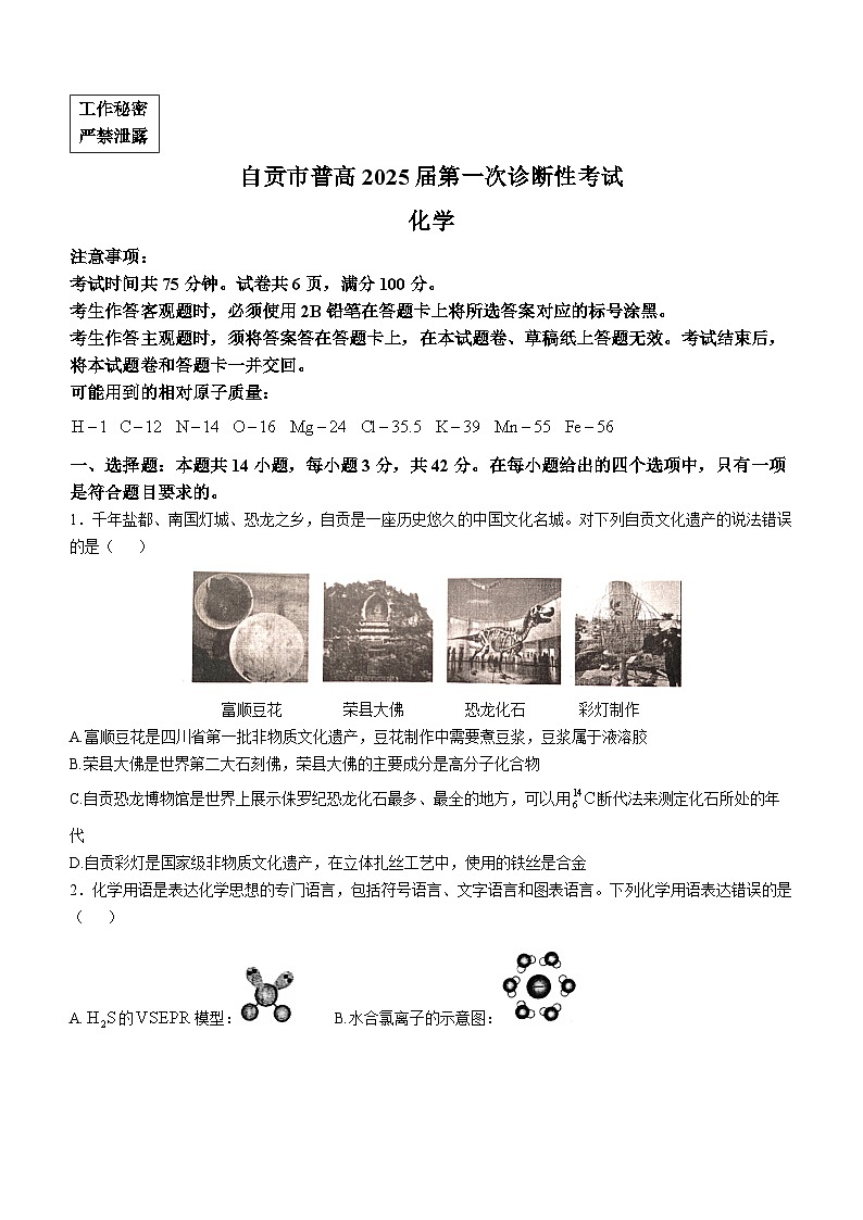 四川省自贡市2024-2025学年高三上学期第一次诊断性考试化学试题第1页