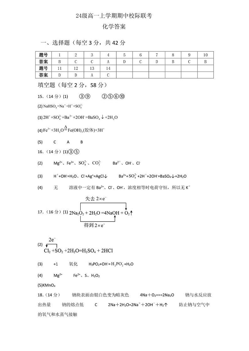 仁寿县24级高一上学期期中校际联考化学答案第1页