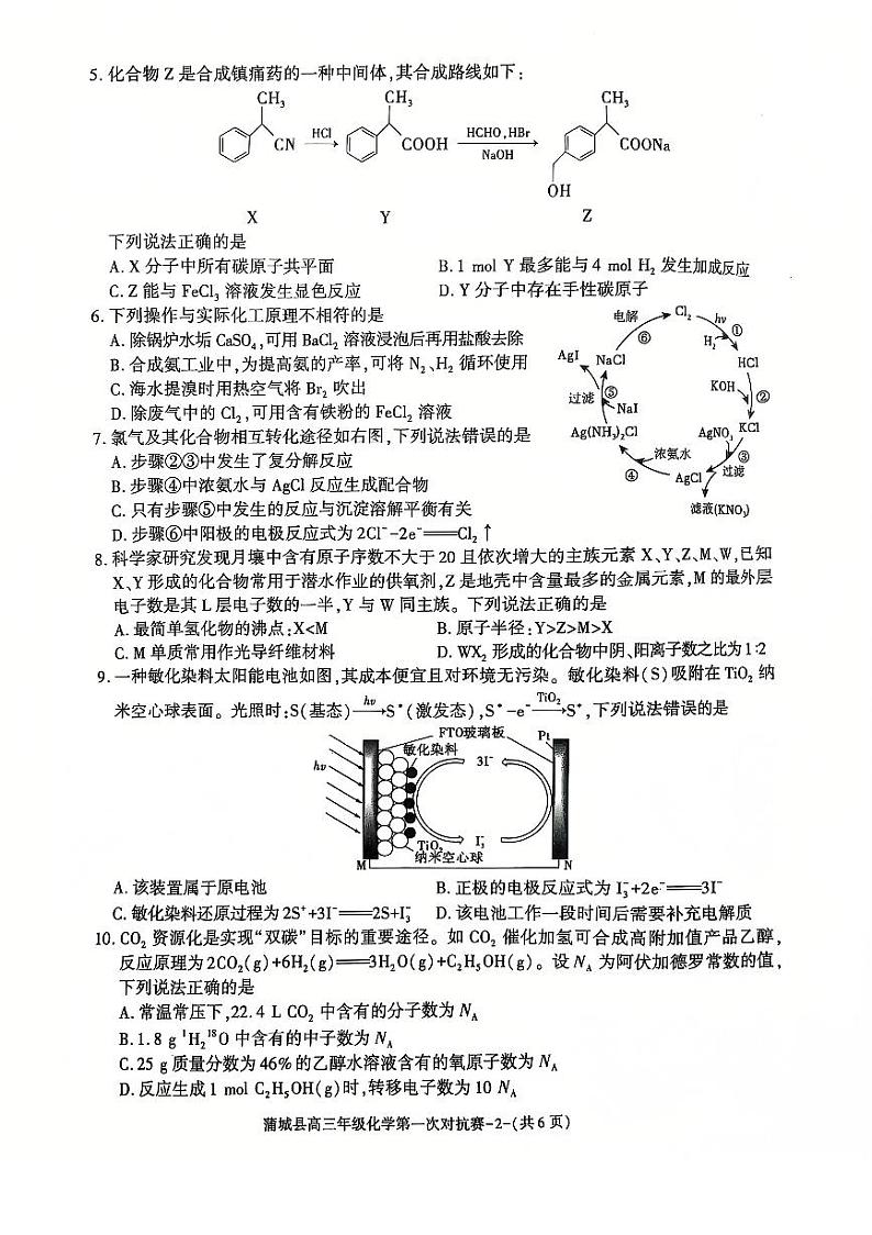 陕西省渭南市蒲城县2024-2025学年高三上学期第一次对抗赛 化学试卷第2页