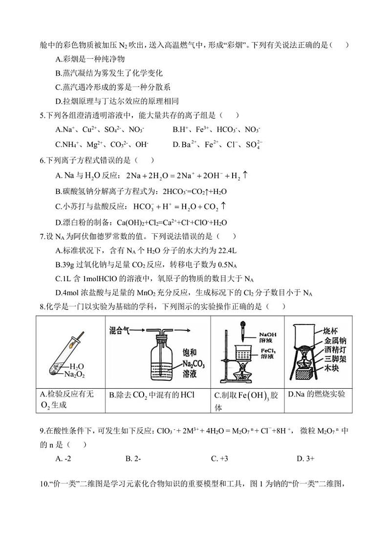 2024～2025学年四川省遂宁市射洪中学校高一(上)12月期中化学试卷(无答案)第2页