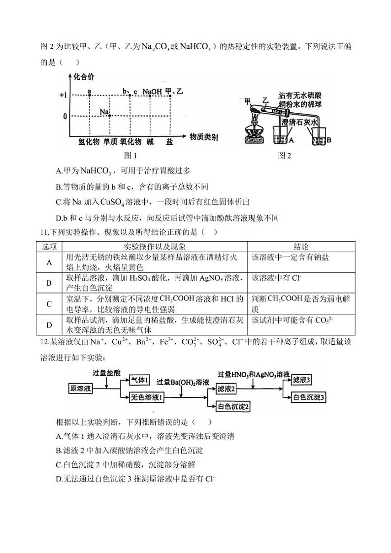 2024～2025学年四川省遂宁市射洪中学校高一(上)12月期中化学试卷(无答案)第3页