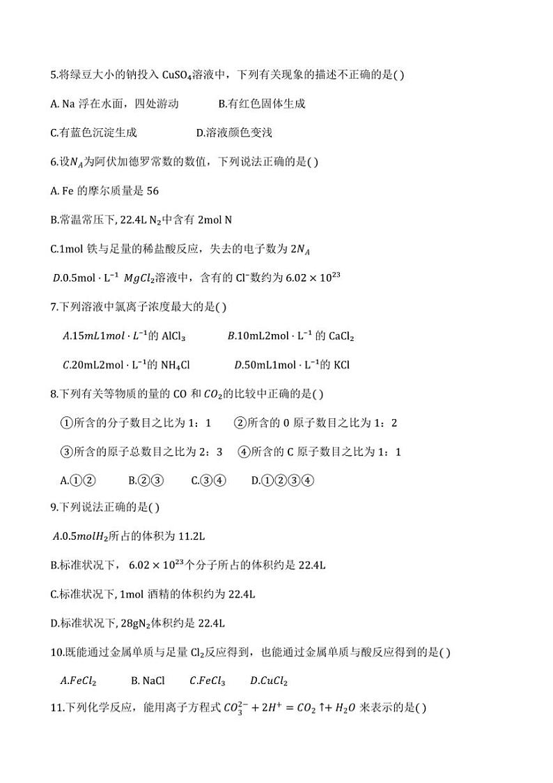 2024～2025学年天津市耀华中学滨城学校高一(上)期中化学试卷(无答案)第2页