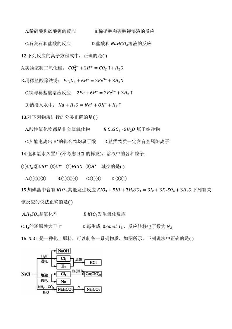 2024～2025学年天津市耀华中学滨城学校高一(上)期中化学试卷(无答案)第3页