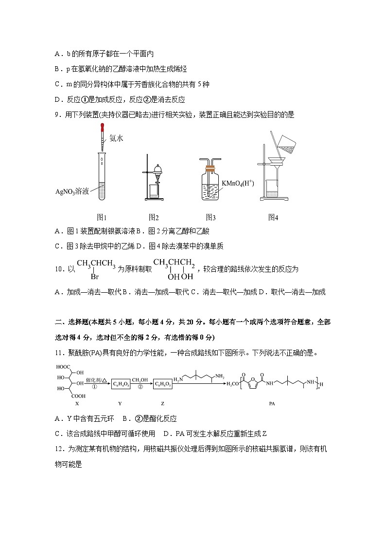 2024-2025学年山东泰安市高二下学期期末化学质量检测试题（含答案）第3页