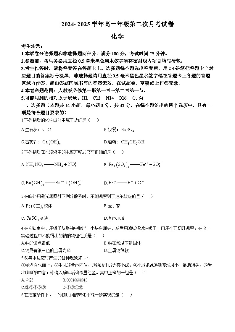 2025亳州涡阳县高一上学期11月期中（第二次月考）化学试题含解析第1页