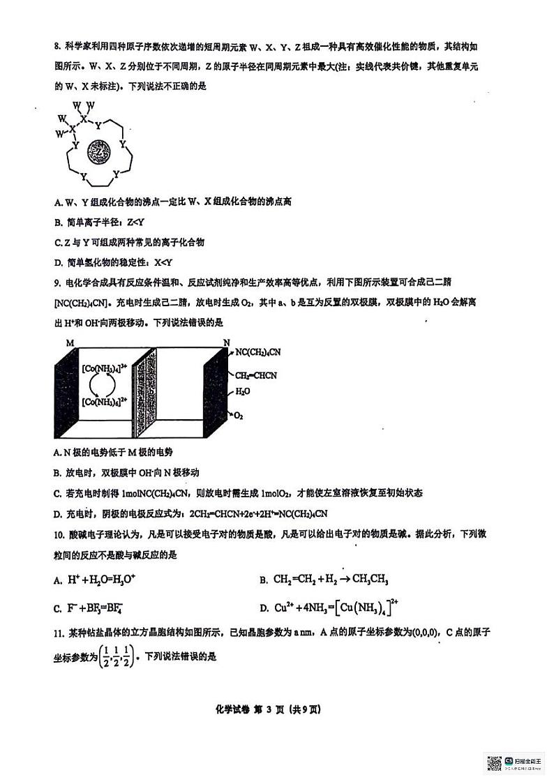 广西南宁市第二中学2024-2025学年高三上学期11月月考化学第3页