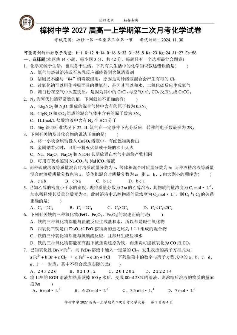 2024～2025学年江西省樟树中学高一(上)第二次月考化学试卷(含答案)第1页