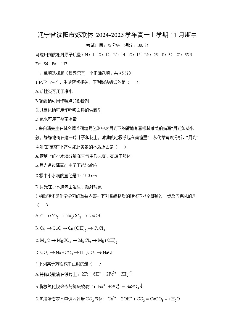 2024-2025学年辽宁省沈阳市郊联体高一(上)11月期中化学试卷第1页