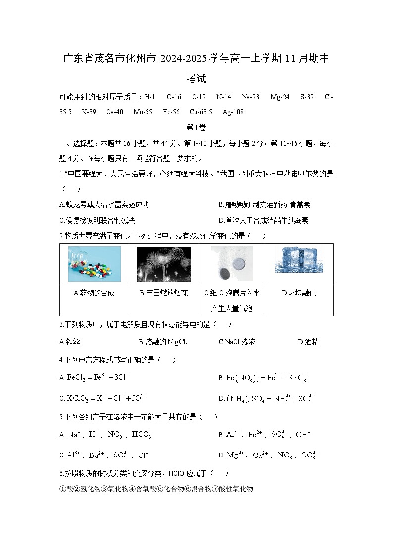2024-2025学年广东省茂名市化州市高一(上)11月期中考试化学试卷(解析版)第1页