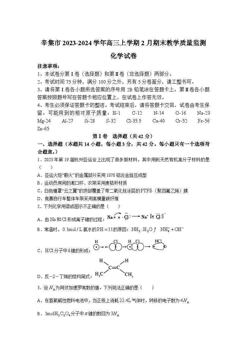 河北省石家庄市辛集市2024届高三上学期期末教学质量监测化学试卷第1页