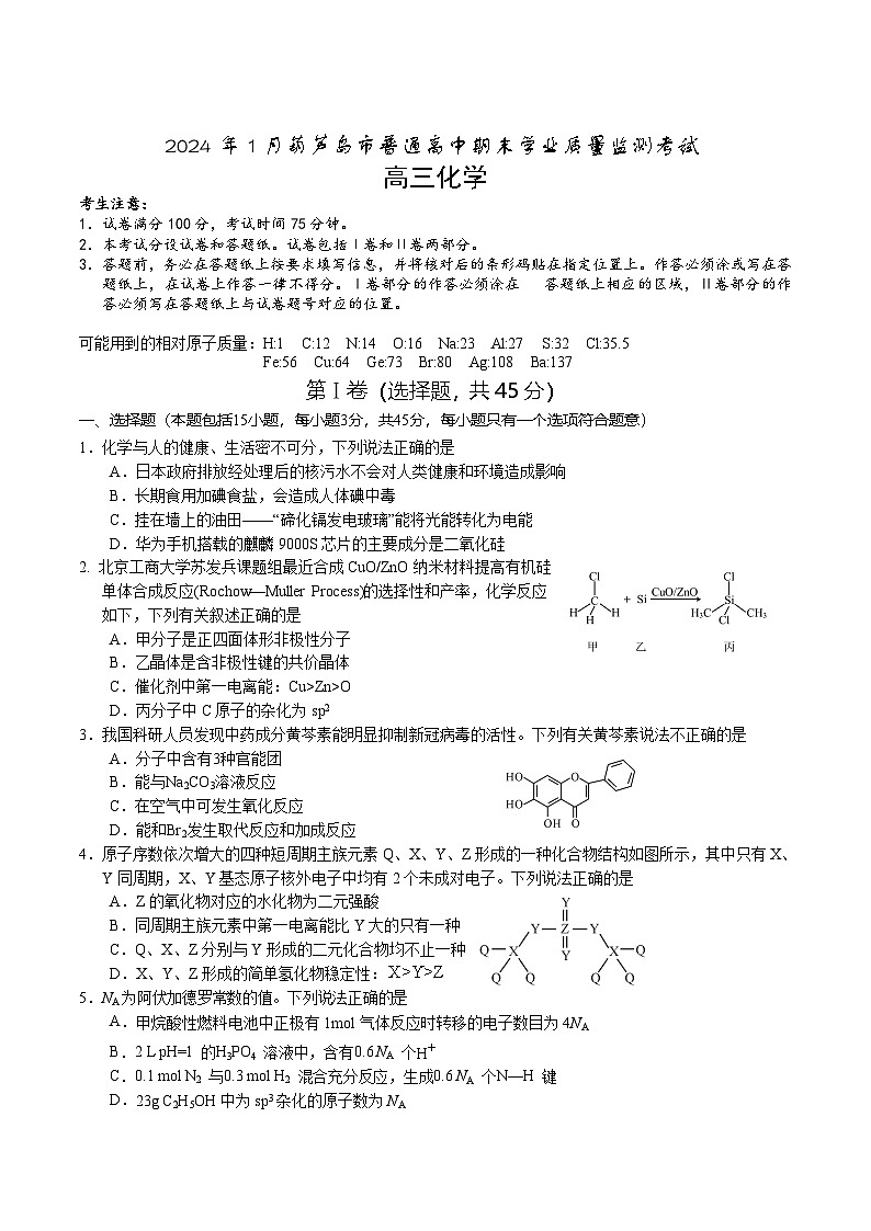 辽宁省葫芦岛市2024届高三上学期期末学业质量监测化学试卷第1页