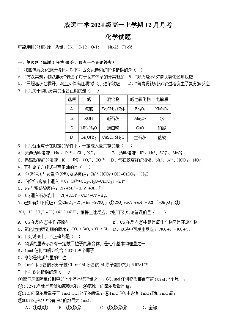四川省内江市威远中学2024-2025学年高一上学期12月月考化学试题（Word版附解析）第1页