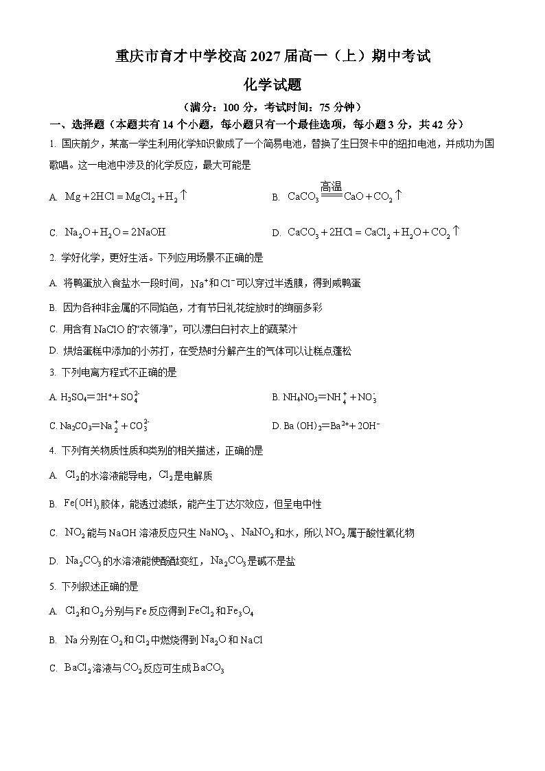 重庆市育才中学2024-2025学年高一上学期11月期中考试化学试卷 Word版无答案第1页