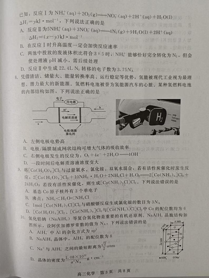 河北省张家口市尚义县第一中学等校2024-2025学年高三上学期12月月考 化学试题第3页