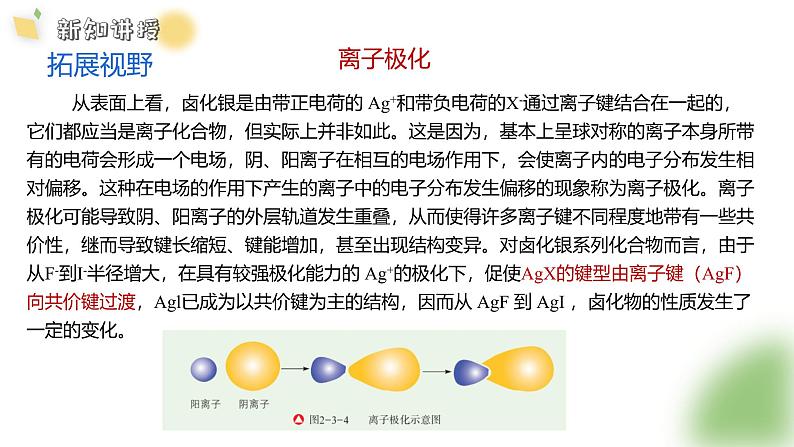 2.3 课时1 离子键与金属键课件 2024-2025学年高二化学鲁科版（2019）选择性必修2第7页