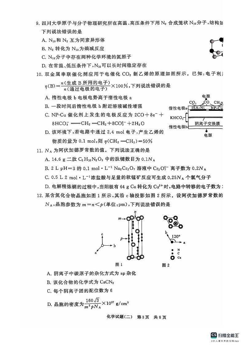 2025T8二试卷第3页