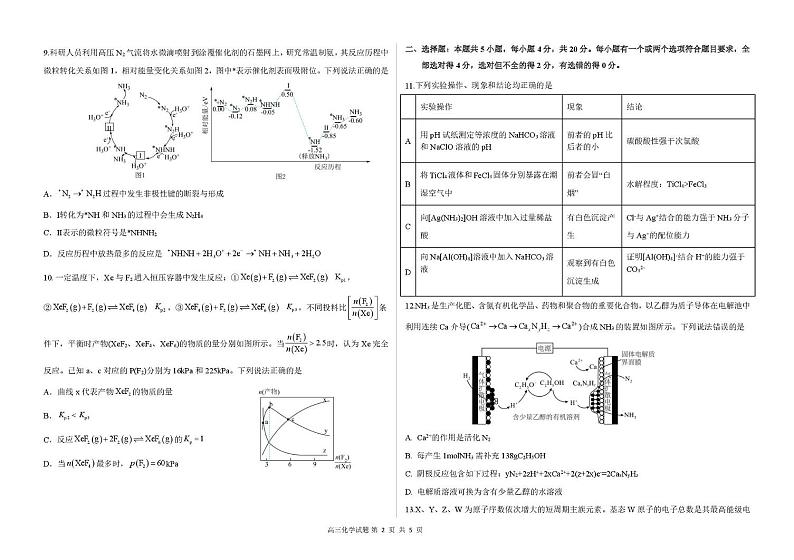 山东省德州市第二中学2024-2025学年高三上学期12月月考 化学试题第2页