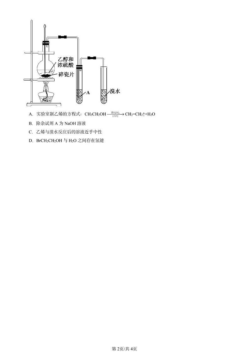 2024北京重点校高二（下）期中真题化学汇编：乙烯与有机高分子材料第2页