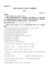 贵州省贵阳市2025届高三高考第一次模拟考试-化学试卷+答案