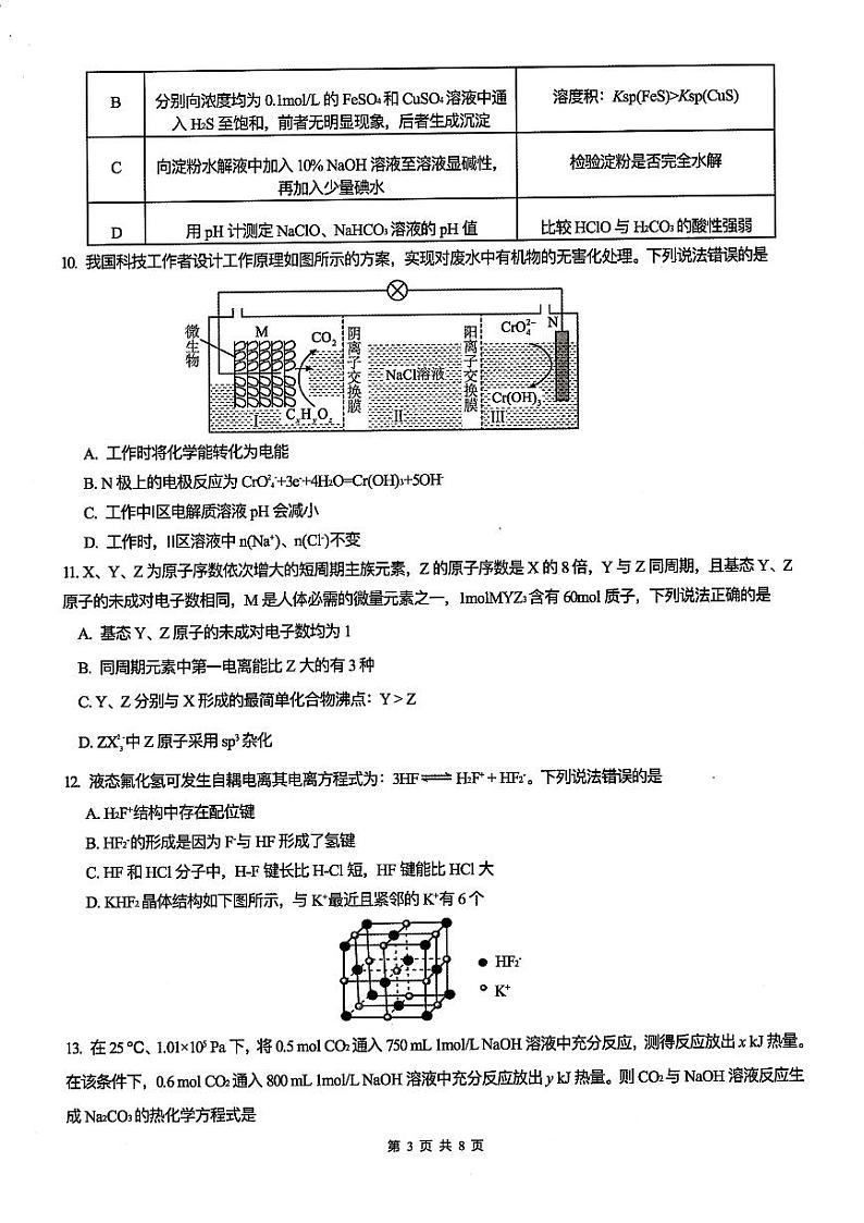 2025重庆市育才中学高三上学期12月月考化学试题扫描版含答案第3页