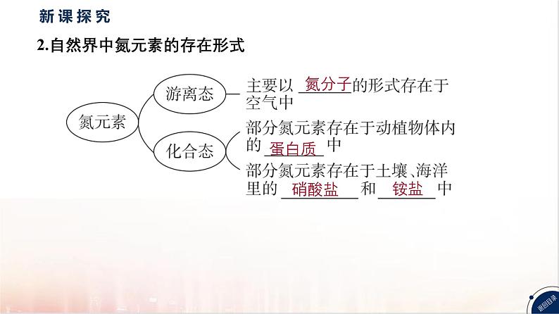 5.2氮及其化合物第一课时 课件 2024-2025学年高一下学期化学人教版（2019）必修第二册第7页