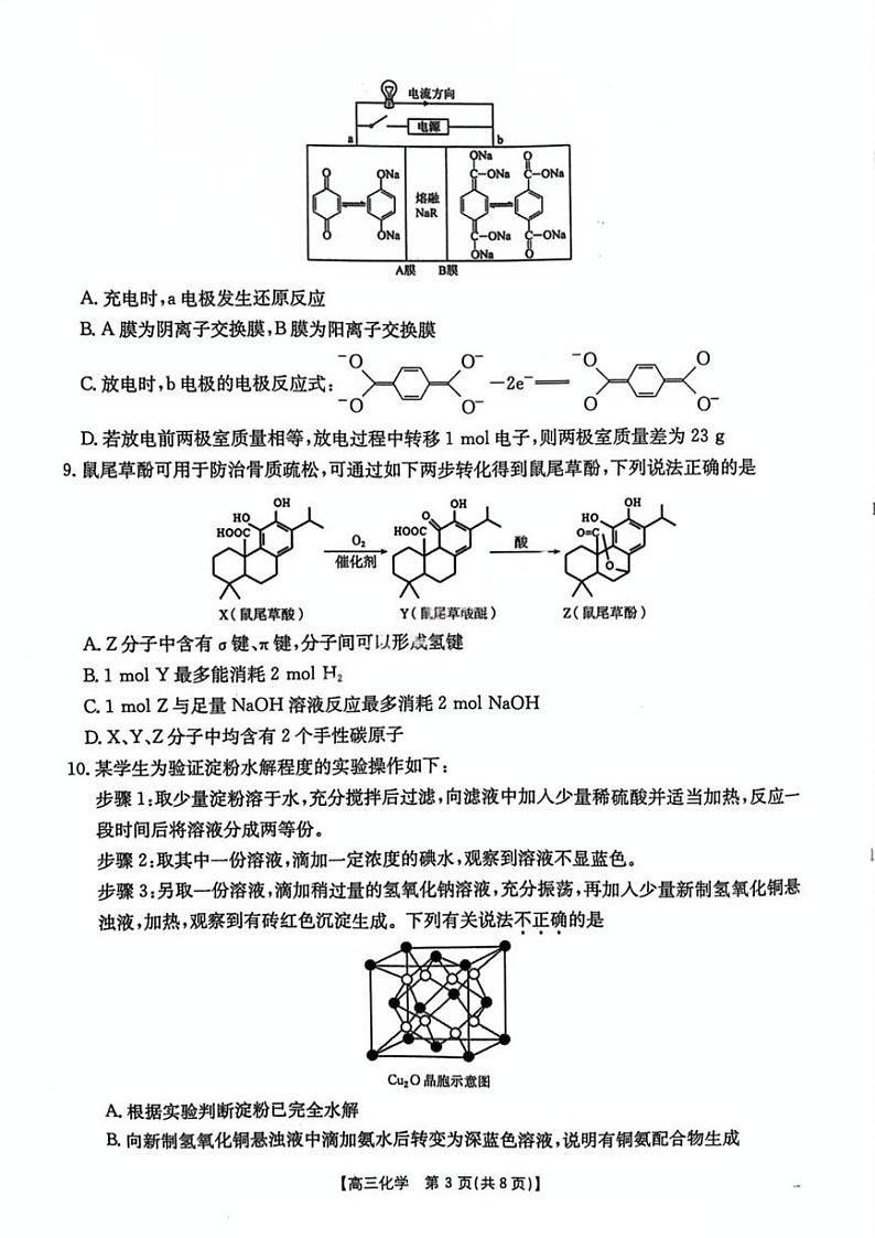 2025届江苏百校联考高三上学期月考化学试题+答案第3页