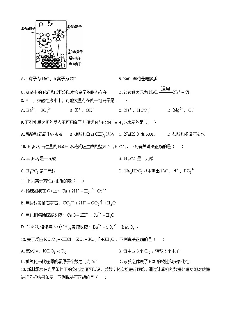 2025惠州博罗县高一上学期11月期中考试化学无答案第2页