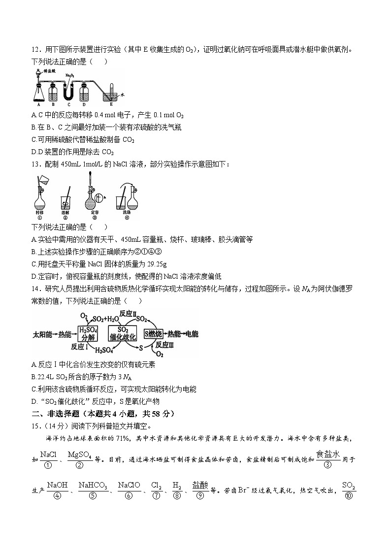 2025壮族自治区玉林高一上学期11月期中考试化学无答案第3页