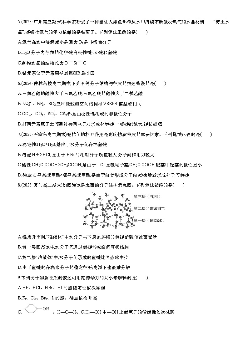 周测6　分子结构与物质的性质（含解析）第2页