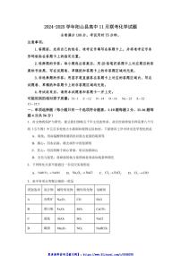 2024～2025学年广东省清远市阳山县高中联考(月考)高一(上)11月月考试卷化学(含答案)