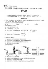 Z20名校联盟(浙江省名校新高考研究联盟)2025届高三第二次联考化学试题