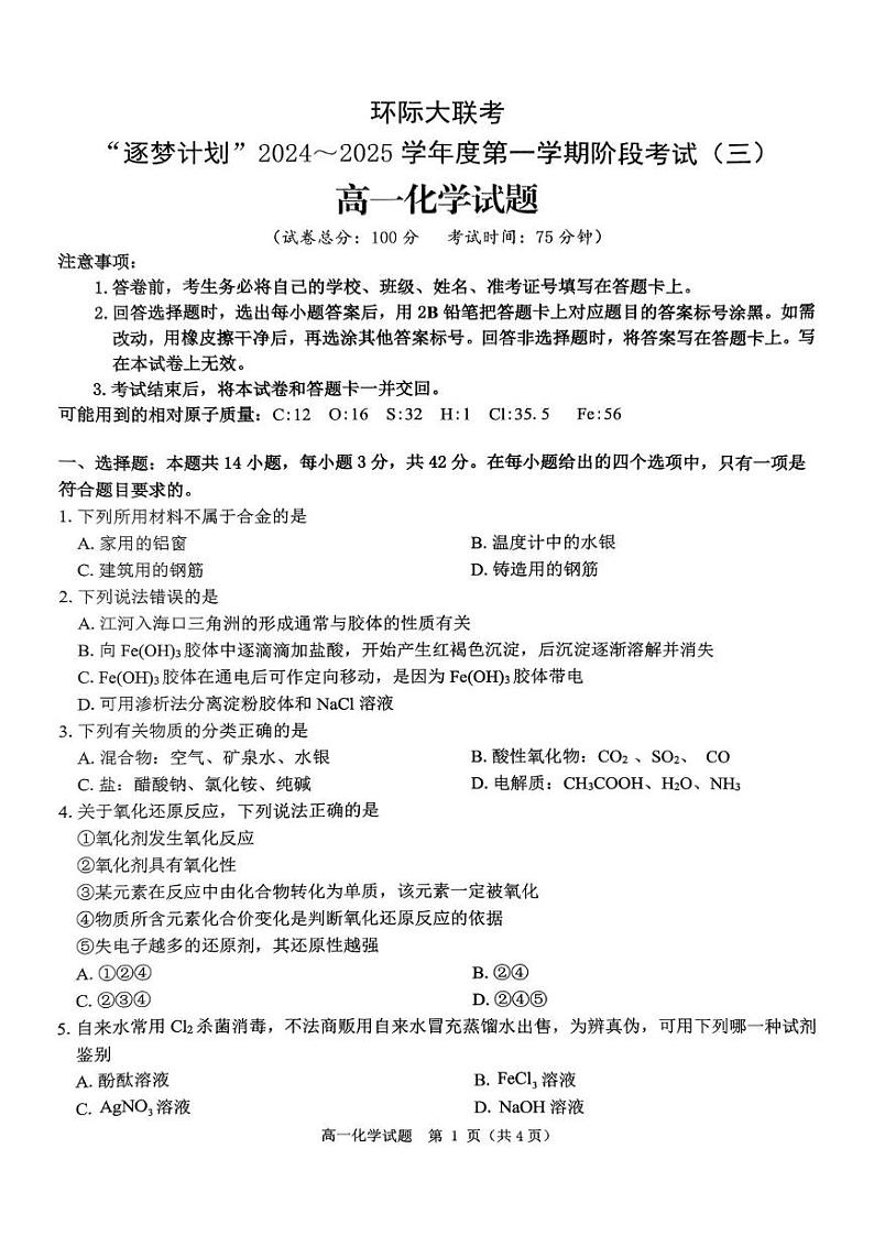 河南省驻马店市环际大联考“逐梦计划”2024-2025学年高一上学期阶段考试（三）化学试题第1页