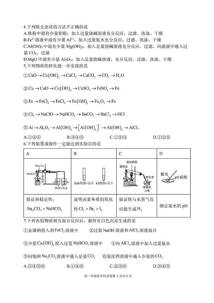 辽宁省沈阳市东北育才高中2024-2025学年上学期高一年级第二次月考化学试题第2页