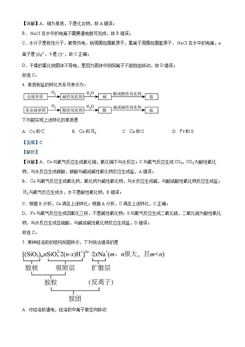 四川省广安市友谊中学2023-2024学年高一上学期10月月考化学试题 Word版含解析第3页