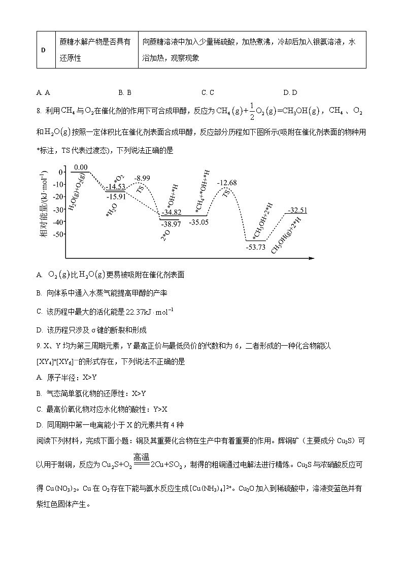 四川省自贡市荣县中学2024-2025学年 高三上学期模拟试卷 Word版无答案第3页