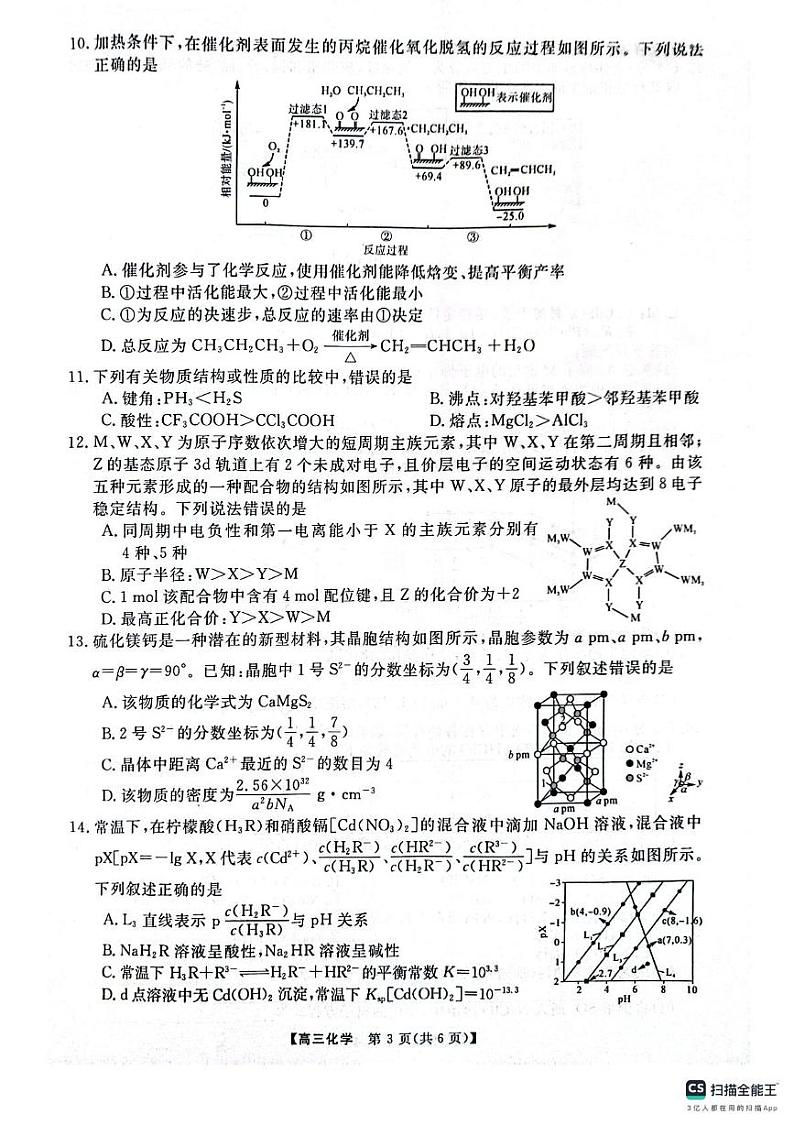 河南省名校联盟2024-2025学年高三上学期12月月考 化学试题第3页