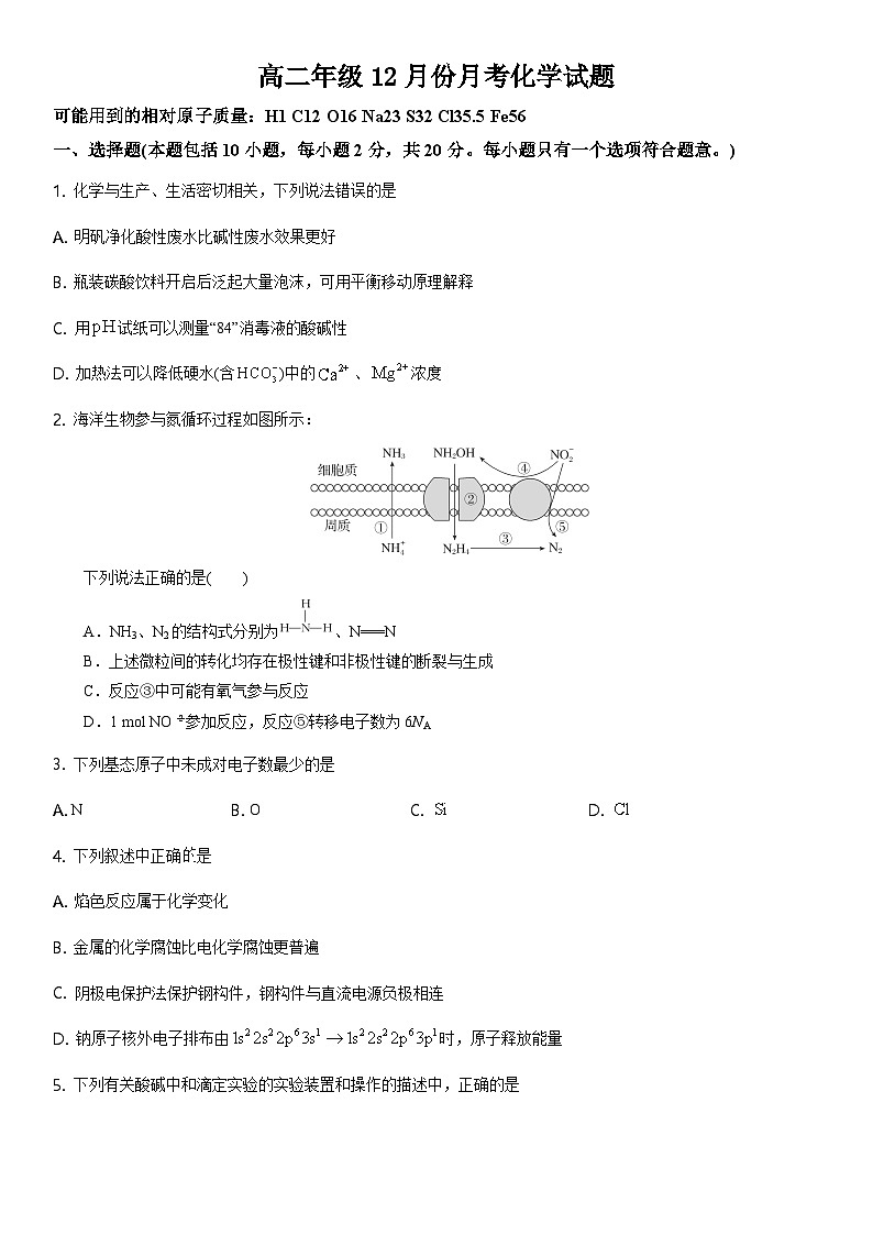 山东省潍坊安丘市等四区县2024-2025学年高二12月月考化学试题第1页