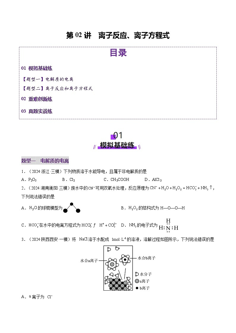 第02讲 离子反应、离子方程式（练习）（原卷版）第1页