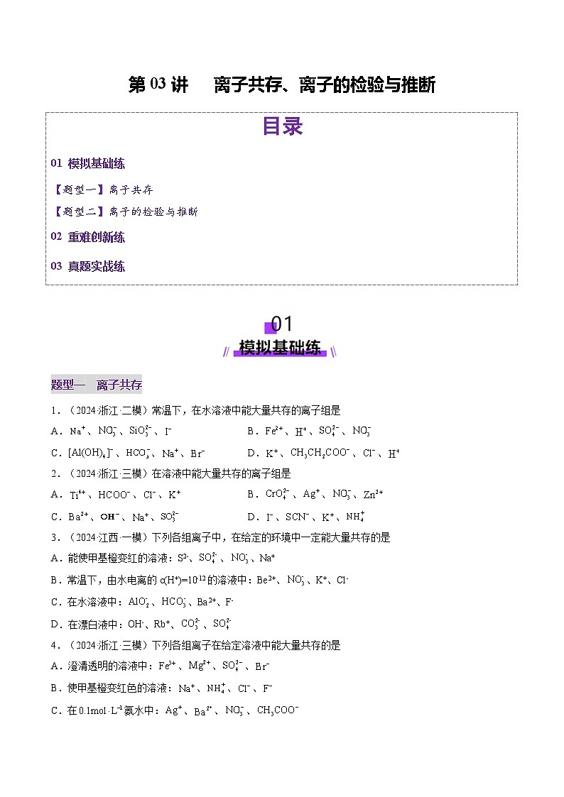 第03讲 离子共存、离子的检验与推断（练习）（原卷版）第1页