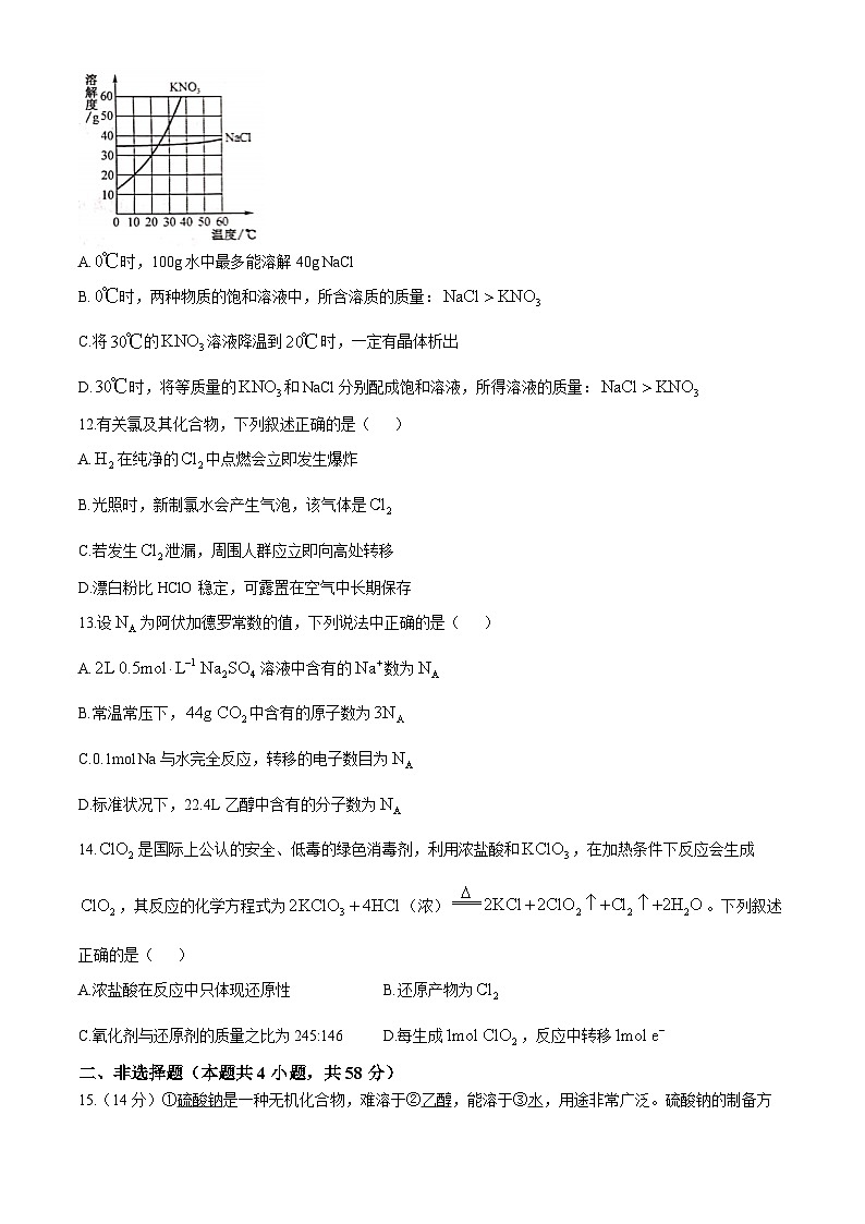 2025沧州四县联考高一上学期11月月考试题化学含解析第3页
