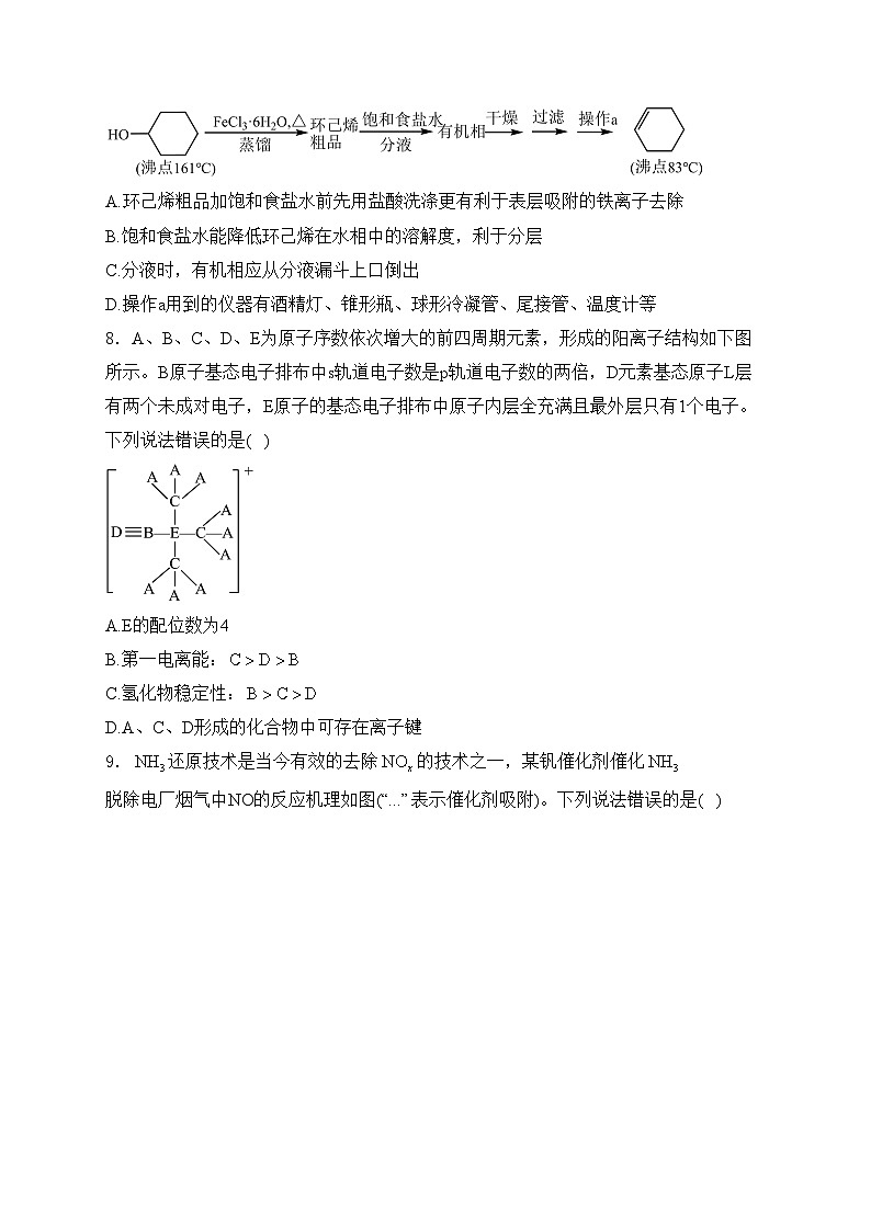 福建省龙岩市一级校2025届高三上学期11月期中考试化学试卷(含答案)第3页