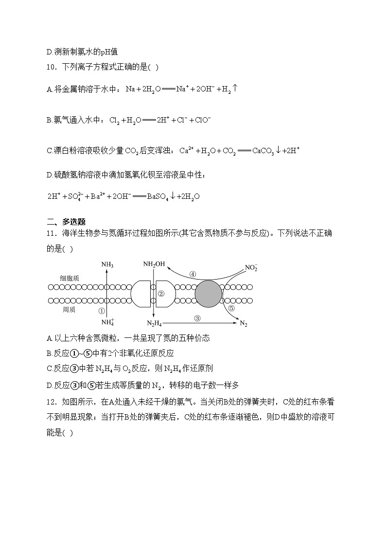 海南省先锋联盟2024-2025学年高一上学期11月期中考试化学试卷(含答案)第3页