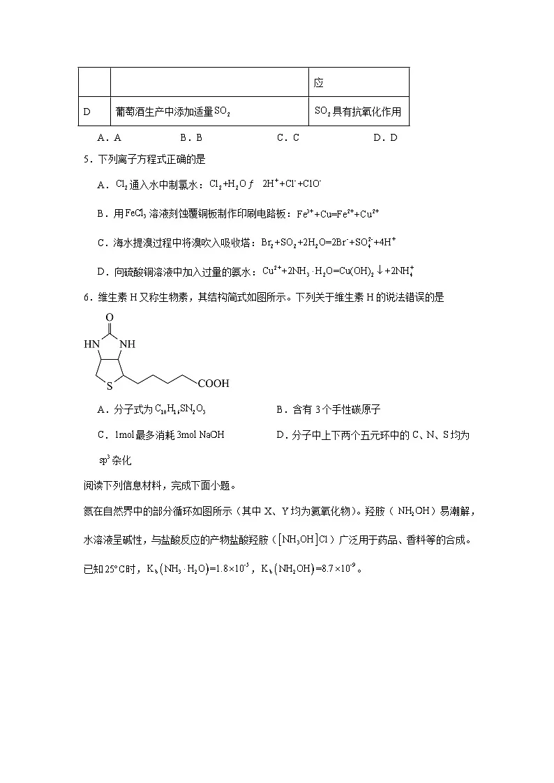四川省内江市2024-2025学年高三上学期一模考试化学试题第2页