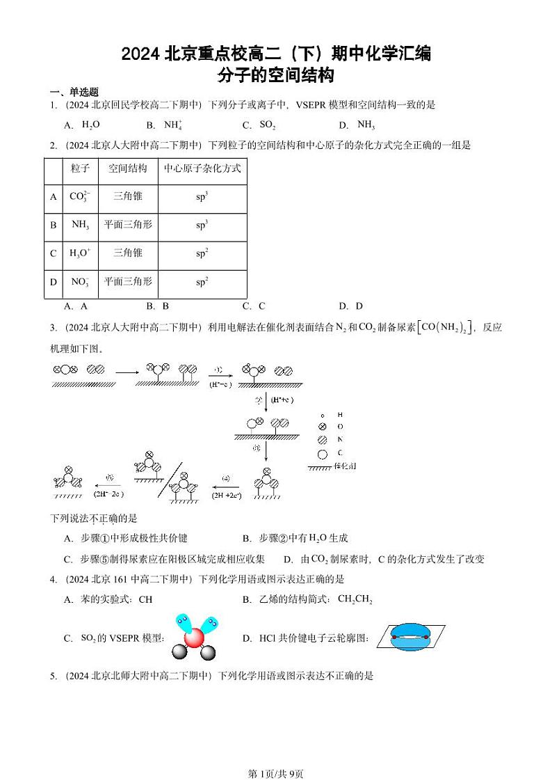 2024北京重点校高二（下）期中真题化学汇编：分子的空间结构第1页