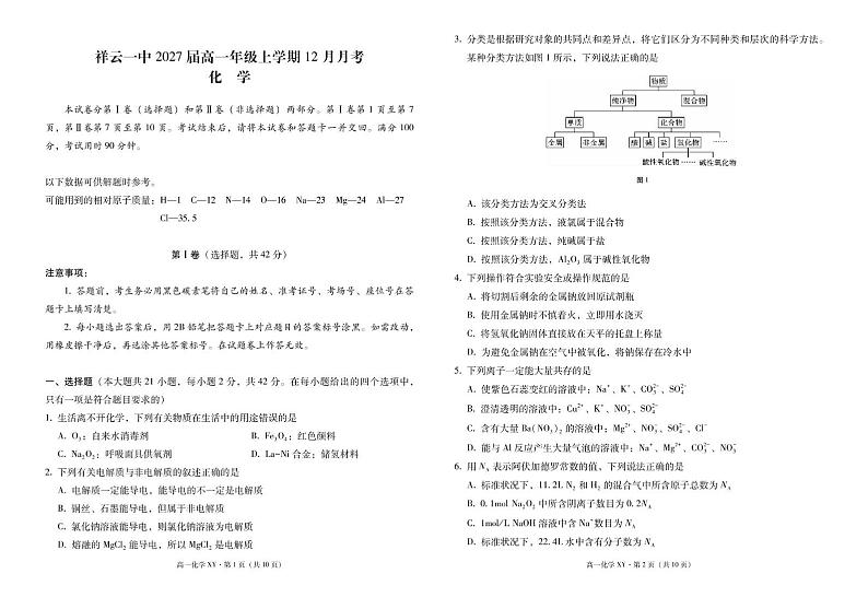 云南省大理白族自治州祥云县第一中学2024-2025学年高一上学期12月月考 化学试题第1页